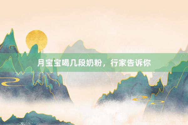 月宝宝喝几段奶粉，行家告诉你