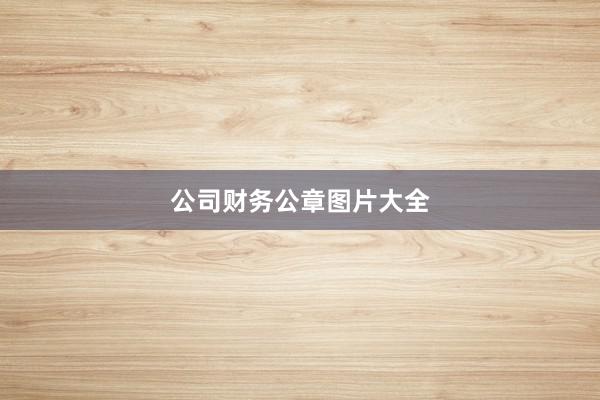 公司财务公章图片大全