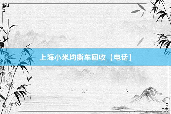 上海小米均衡车回收【电话】