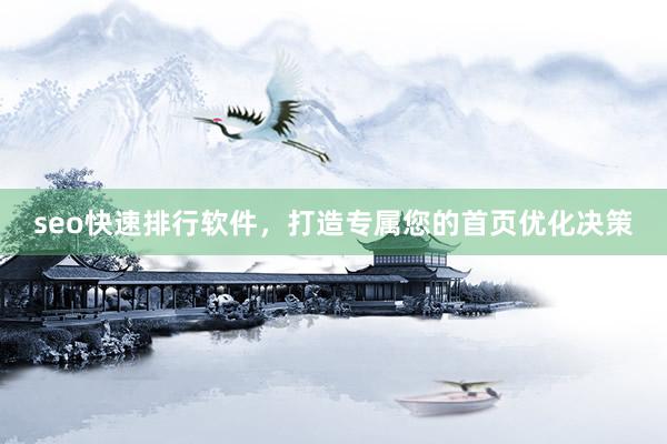 seo快速排行软件，打造专属您的首页优化决策