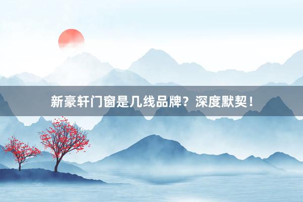 新豪轩门窗是几线品牌？深度默契！